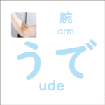 うで<br/>(ude) – 腕 (arm)
